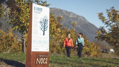 Lungo il Sentiero della noce @ APT Garda Dolomiti
