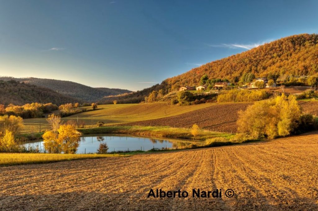 Lungo il sentiero @ Alberto Nardi