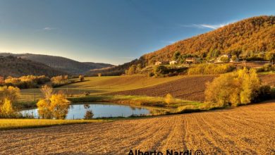 Lungo il sentiero @ Alberto Nardi