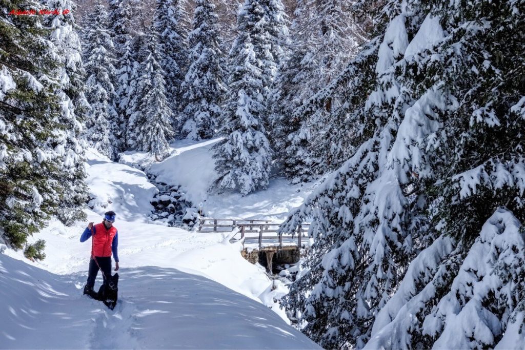 Lungo la Via delle Malghe, in Val di Sole. Foto Alberto Nardi