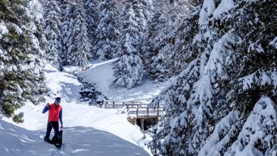Lungo la Via delle Malghe, in Val di Sole. Foto Alberto Nardi