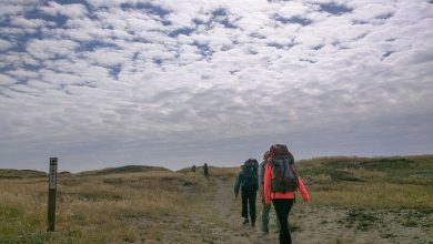 Prepararsi al meteo variabile @ Wikipedia