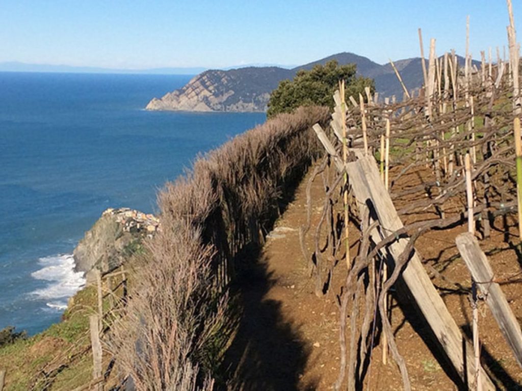 Cinque Terre