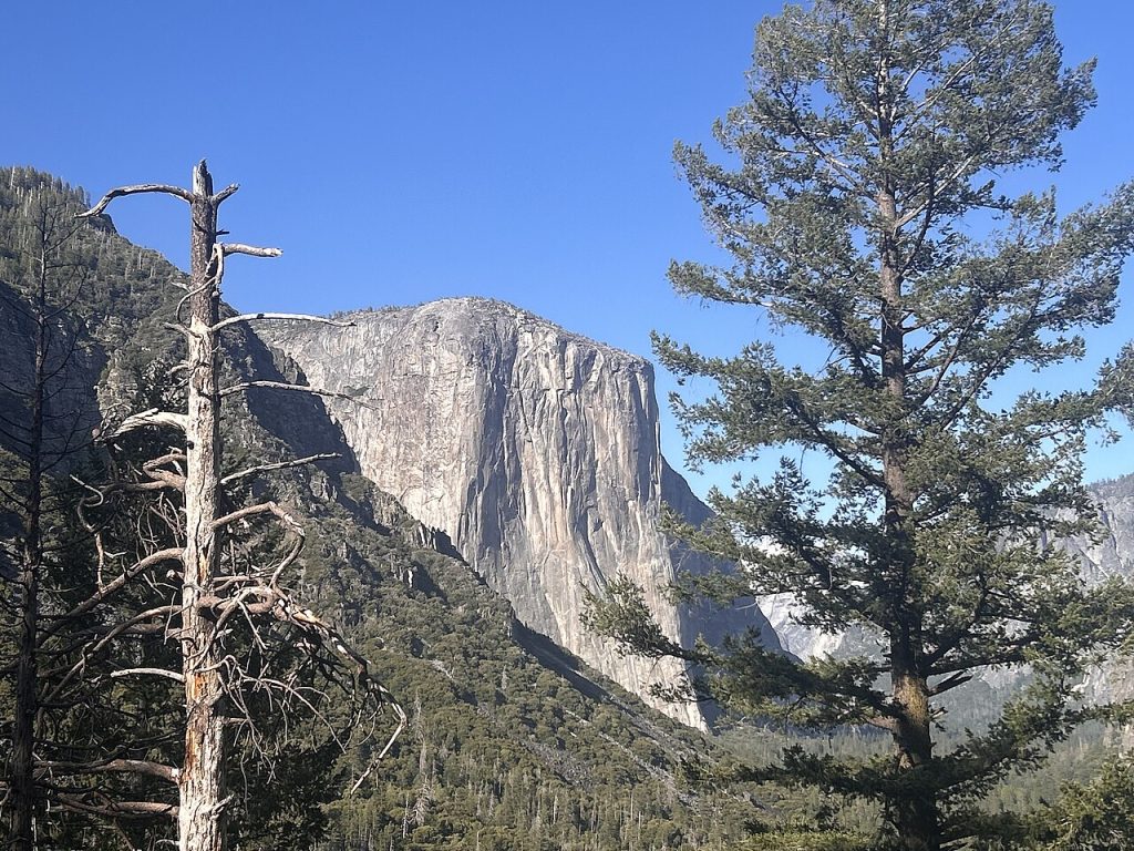 El Capitan, nello Yosemite National Park @Wikipedia Commons