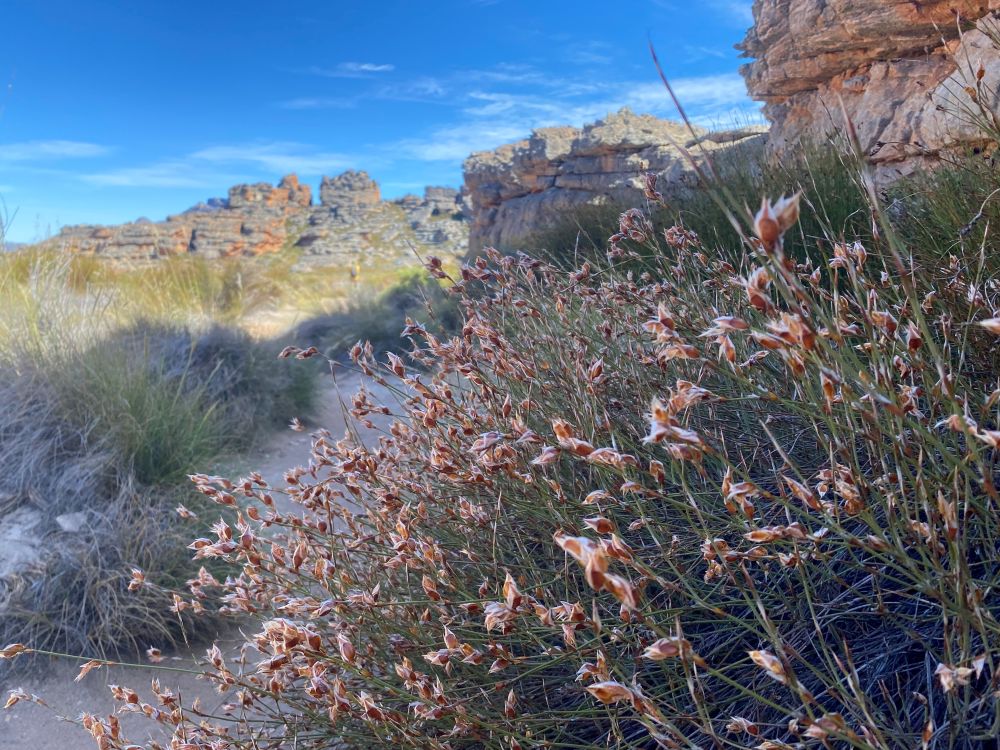 Foto Melania Lunazzi