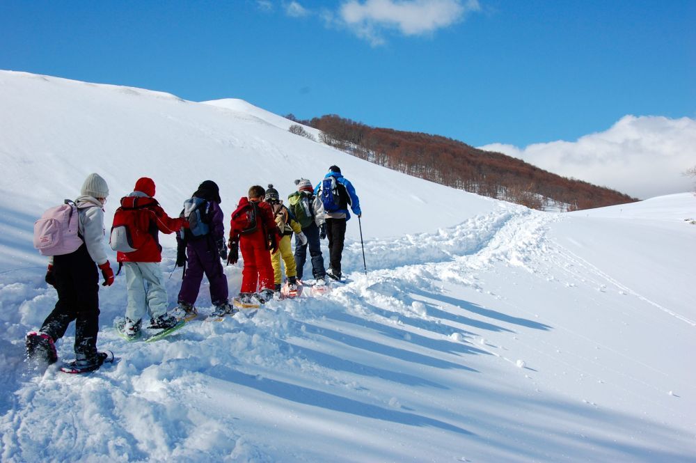 Gita di gruppo con le ciaspole. Foto Adobe Stock @Giuliolibertini
