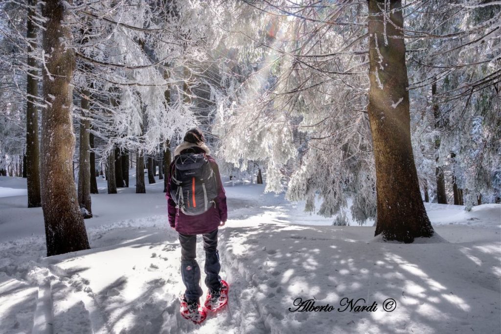 Tra il Lago Santo parmense e la Sella del Marmagna. Foto Alberto Nardi