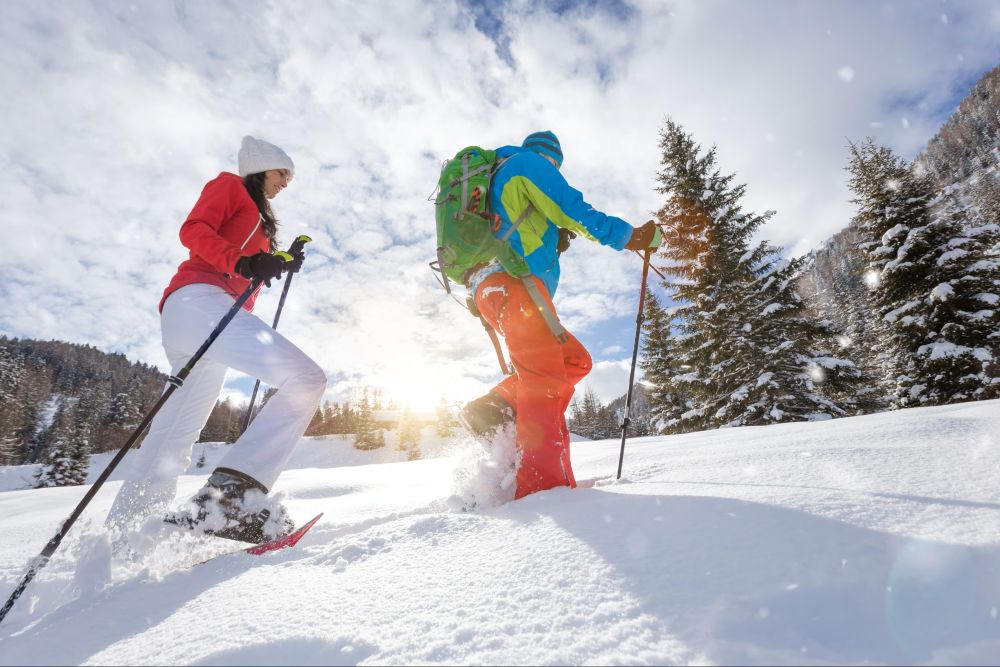 Foto Adobe Stock @Lukas Gojda