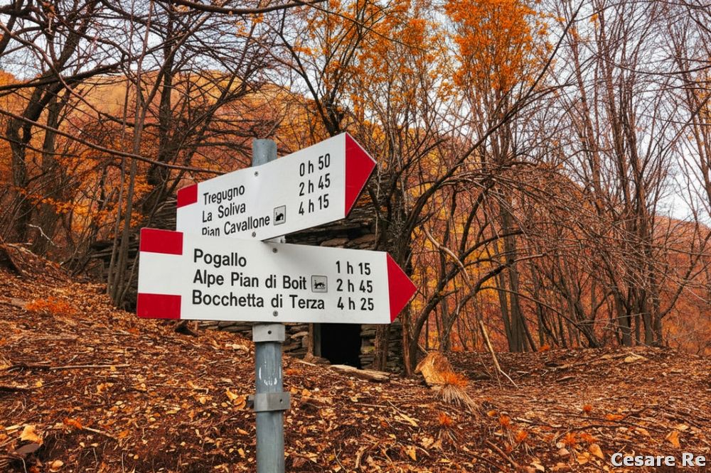 Indicazioni. Foto Cesare Re