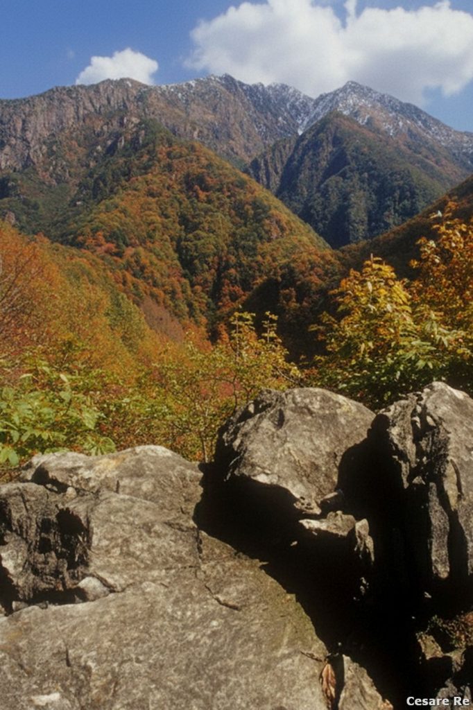 Colori e vegetazione di stagione. Foto Cesare Re