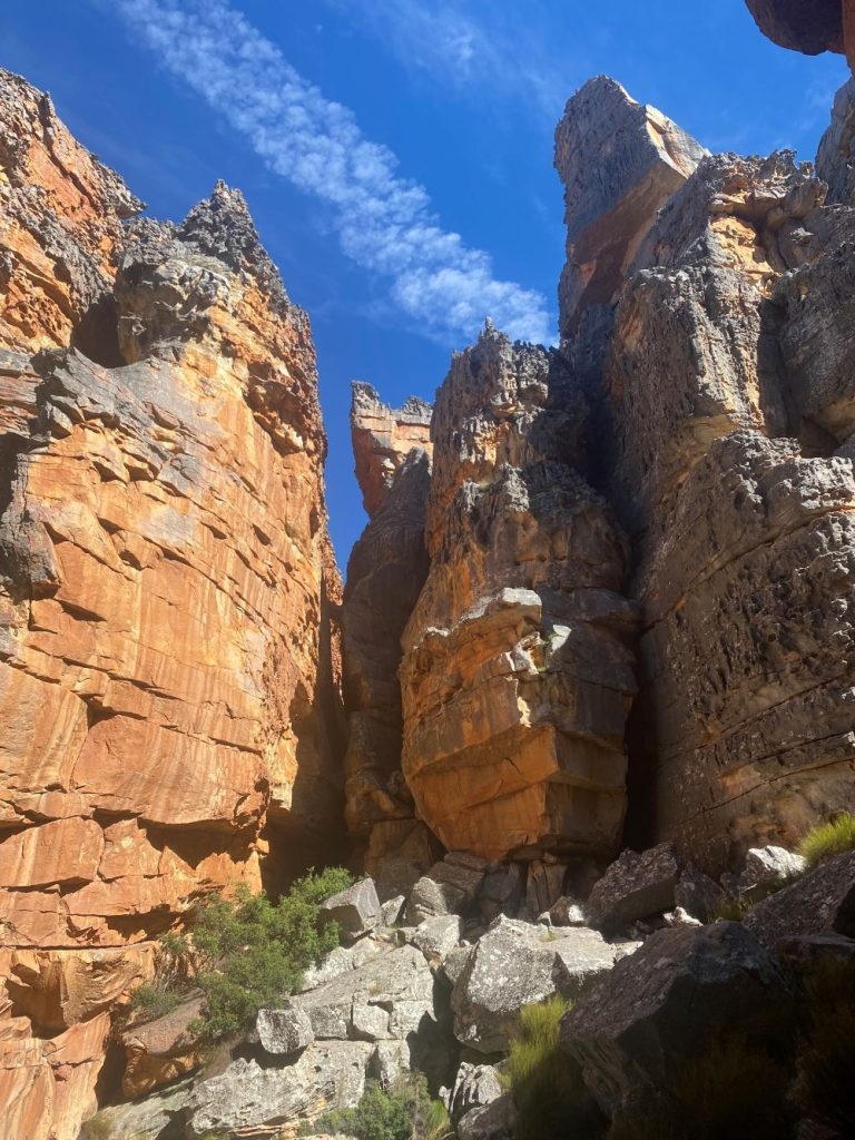 Foto Melania Lunazzi