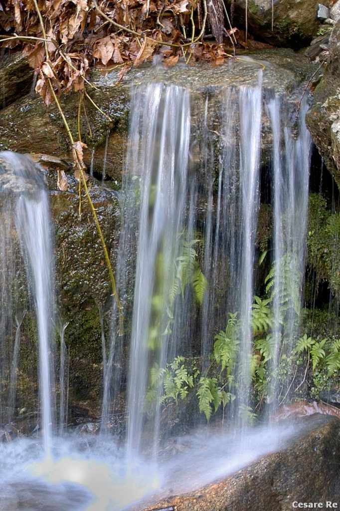 Parte del percorso è compreso nel sentiero natura Storie d