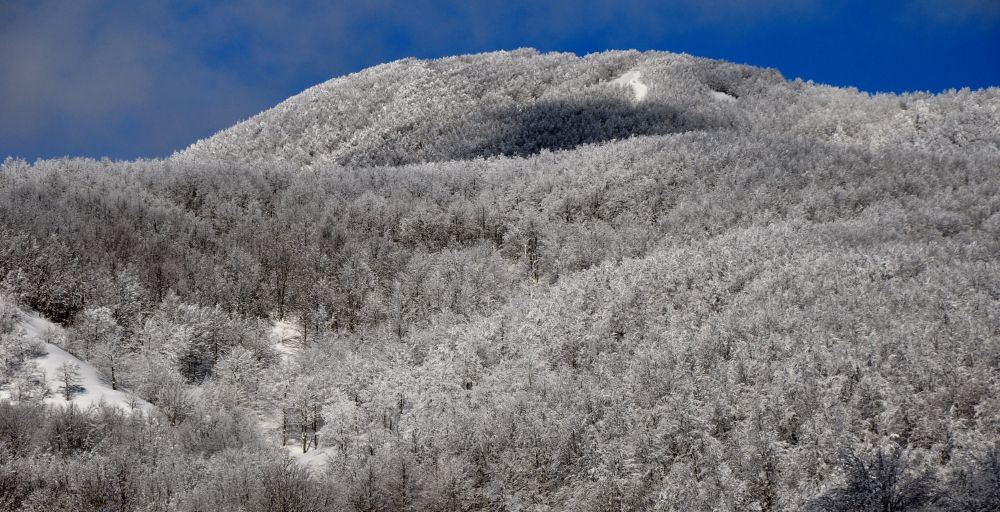 Matese, faggete innevate, foto Stefano Ardito