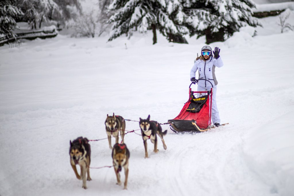 Sleddog a Courmayeur | © Red Photographic