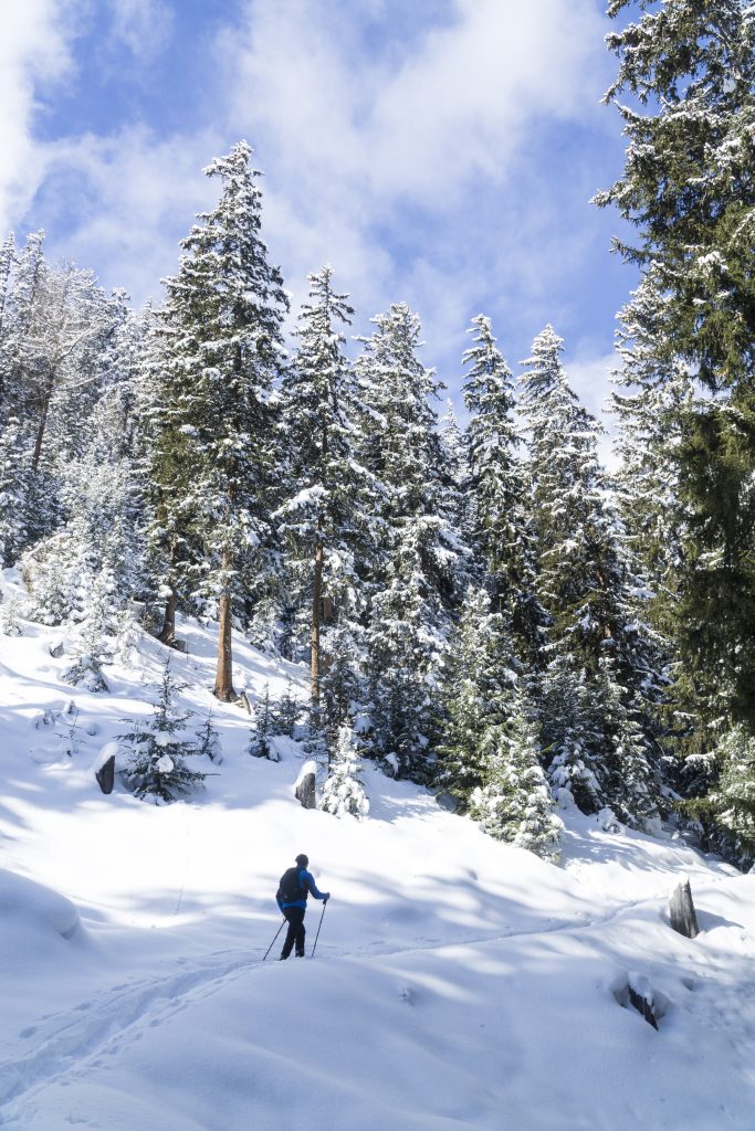 Tra i boschi appena imbiancati con le racchette da neve | @ Marco Monticone