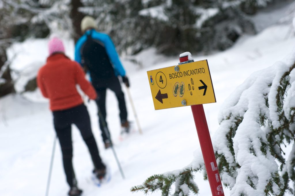 Cogne: ciaspole | @ Paolo Rey