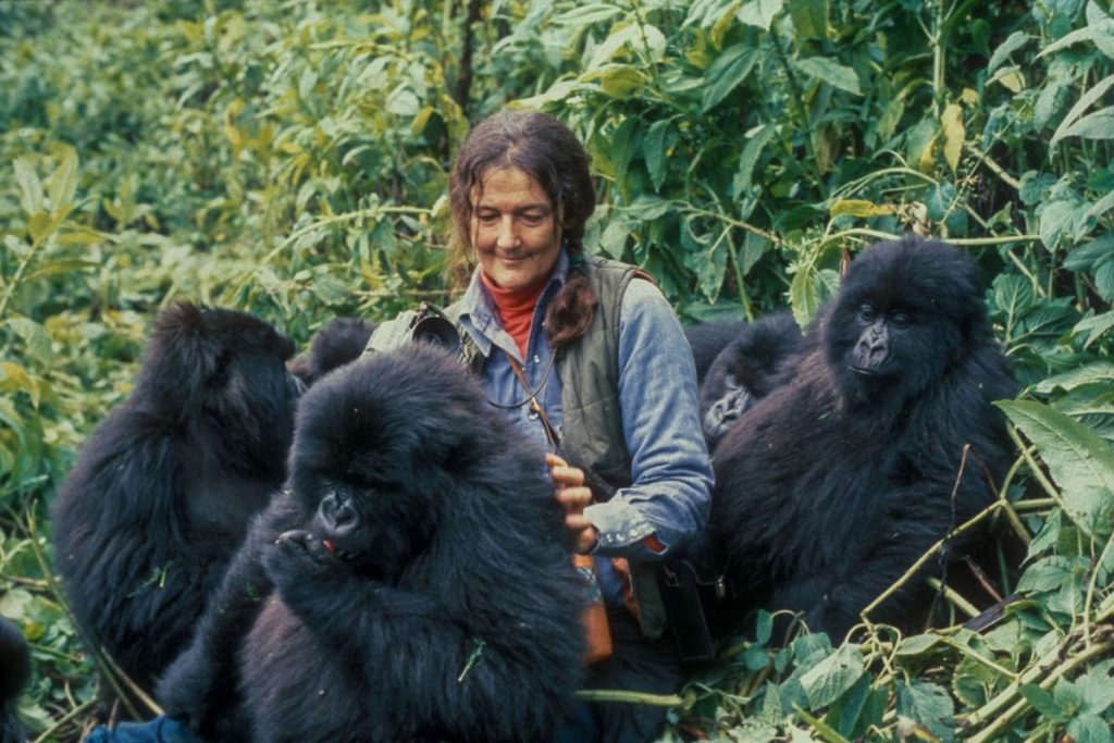 Dian Fossey