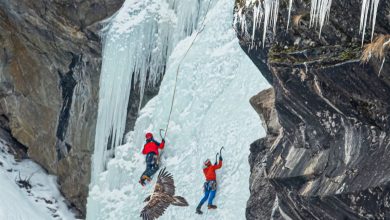 In questi mesi ghiaccisti e gipeti non possono coabitare @ Roberto Andrighetto