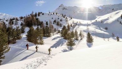 Skialp sulle nevi della Val Senales @ Peter Santer