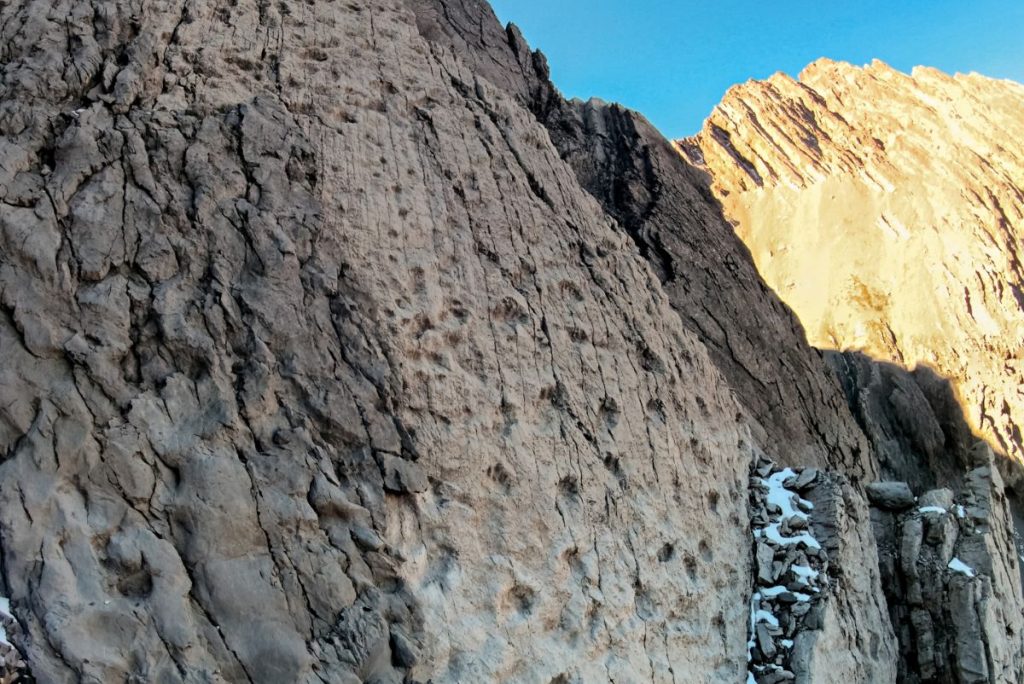 Una parte delle impronte appena rinvenute. Foto Elio Della Ferrera Arch. PaleoStelvio - PNS, MSNM, SABAP CO-LC -. APERTURA