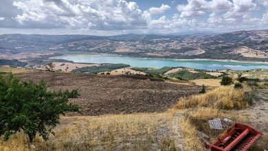 Uno sguardo sul Lago di Occhito