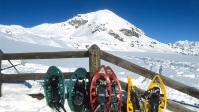 Dall'Alpe Tza Fontaney, con vista sul Mont Morion. Foto Cesare Re