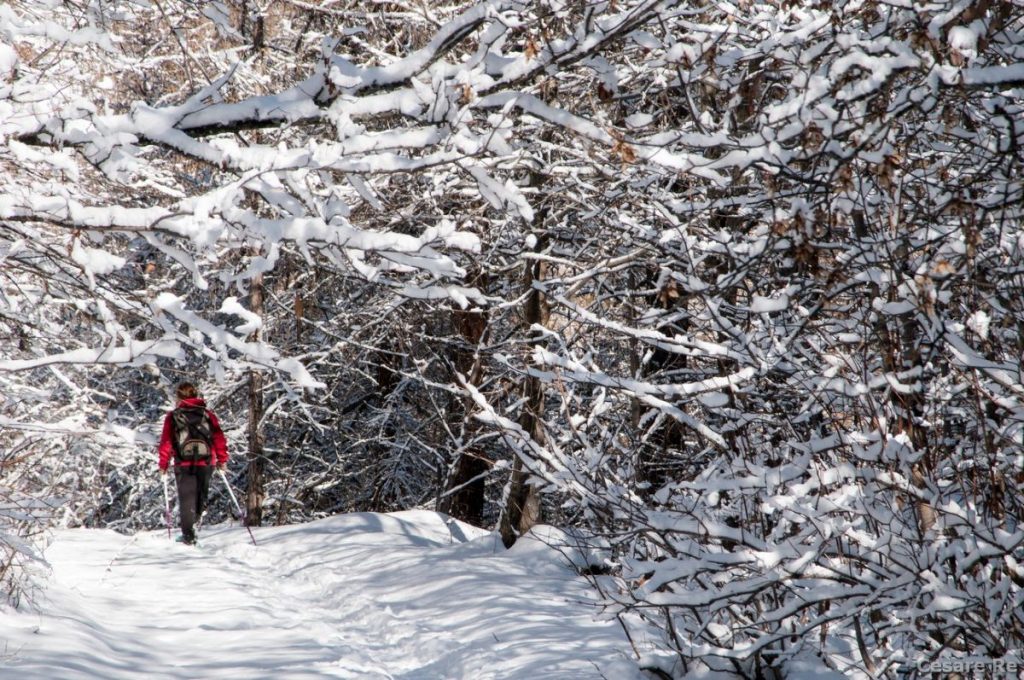 In cammino verso lì