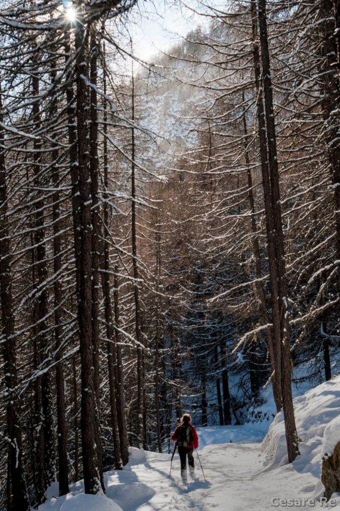 La poderale che si percorrre per arrivare a destinazione. Foto Cesare Re