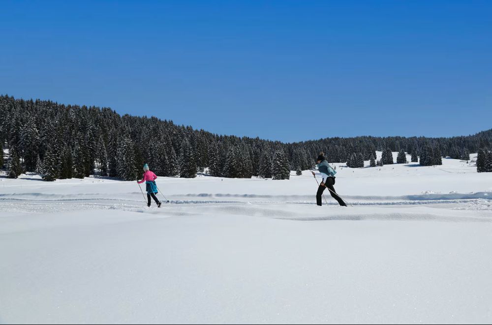 Piste da fondo a Malga Millegrobbe, foto Arturo Cuel