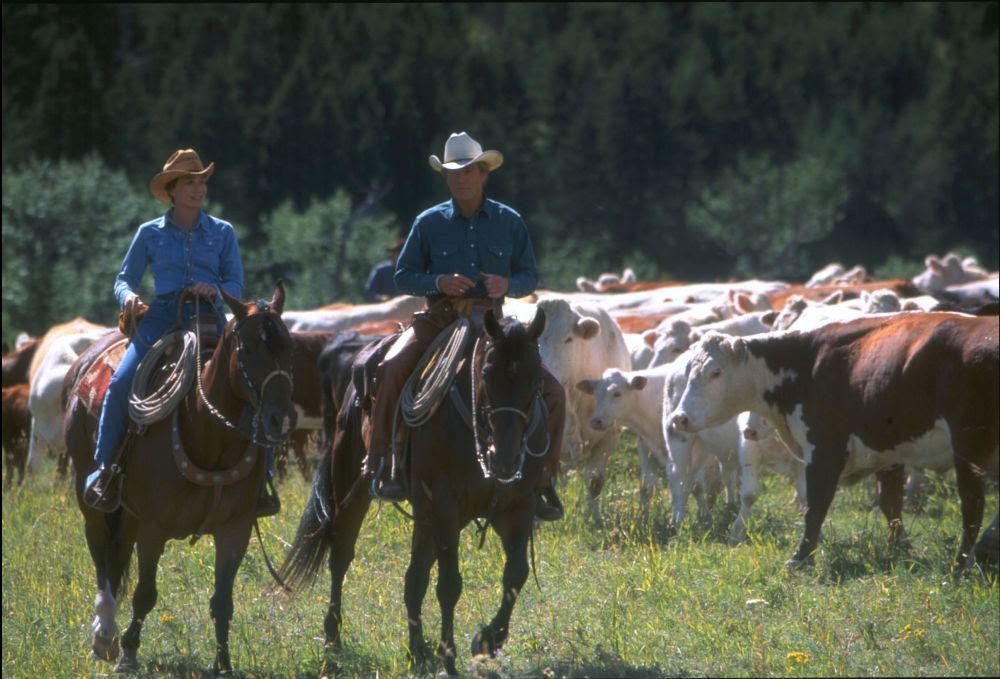 Robert Redford. Images courtesy of Park Circus- Disney