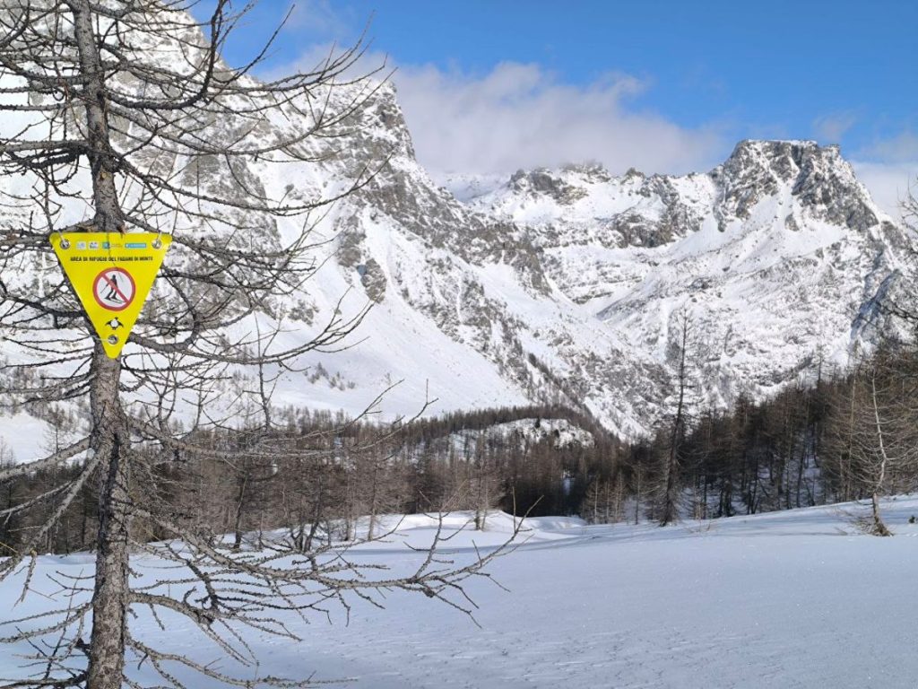 Bandierine gialle delimitano l'area di tranquillità a maggior tutele istituita dal Parco @ Parchi Veglia Devero Antrona - Aree Protette Ossola