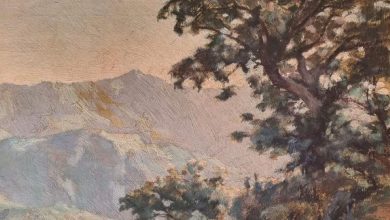 Veduta sopra Seravezza @ Archivio Maurizio Bertellotti