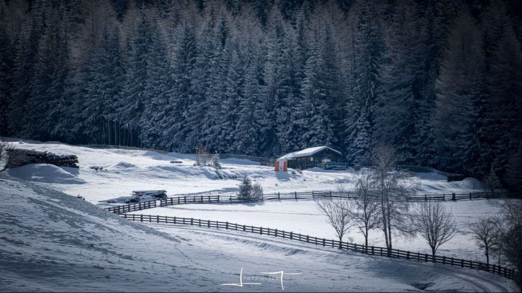 Caducifoglie e sempreverdi sotto la neve in Val Casies. Foto Luigi Tassi