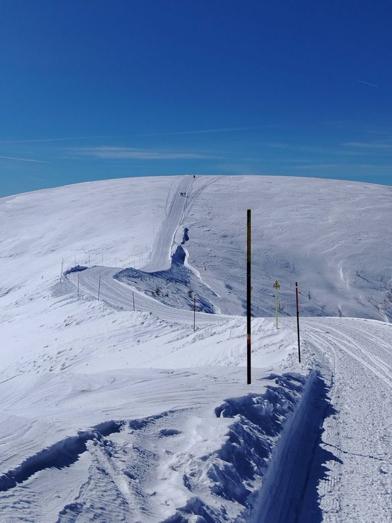 In cammino verso il Rifugio Dosso Alto. Foto Ettore Pettinaroli