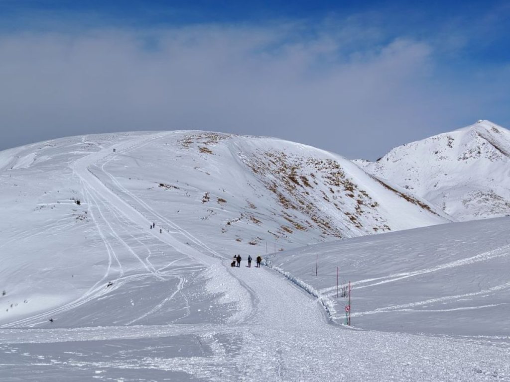 La pista per il rifugio Dosso Alto, sullo sfondo il Monte Muffetto. Foto Ettore Pettinaroli