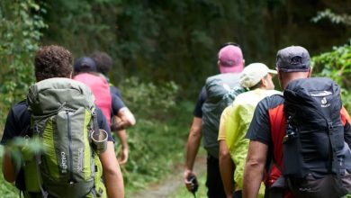 In cammino sulla Via Francigena