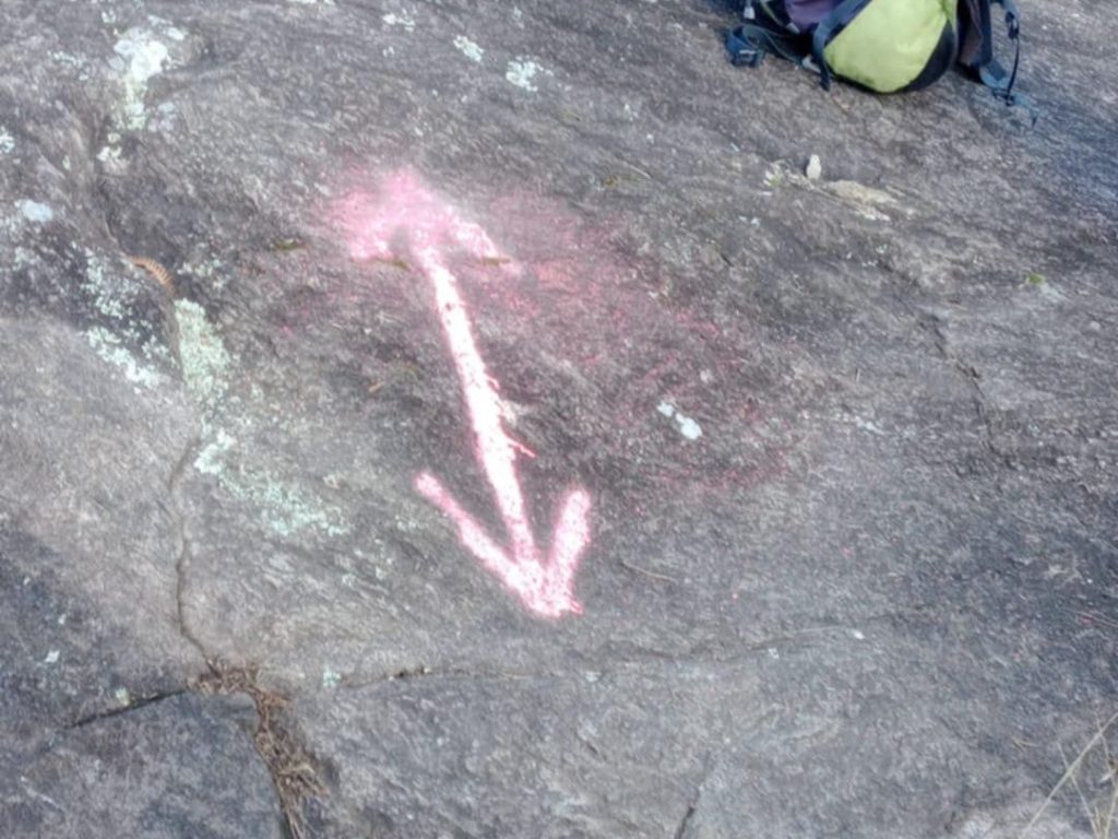 Una freccia fucsia disegnata sulle rocce di Vandea