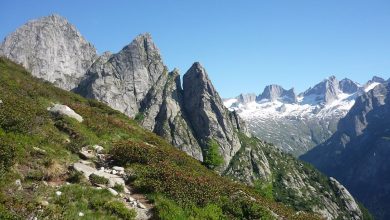 Val Masino. In primo piano sulla sinistra la Punta Fiorelli, sullo sfondo il Badile e il Cengalo @ Wikipedia