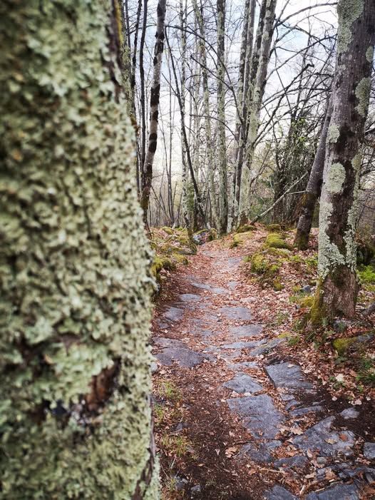 Custodiscono un patrimonio immenso (foto M. Fioroni)