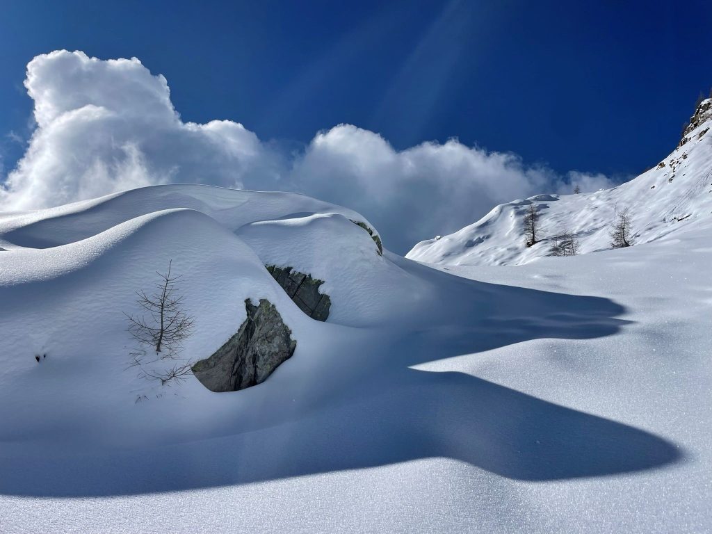 La meraviglia, il bianco abbagliante (foto M. Comi)