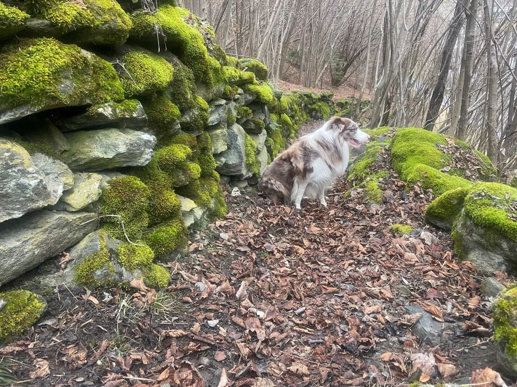 Pietre posate una ad una (foto M. Comi)