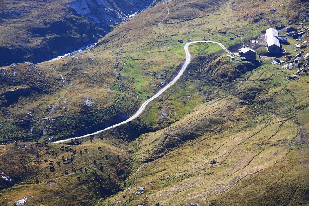 Alpeggio - Foto CamDib - Wikimedia Commons, CC BY-SA 4.0