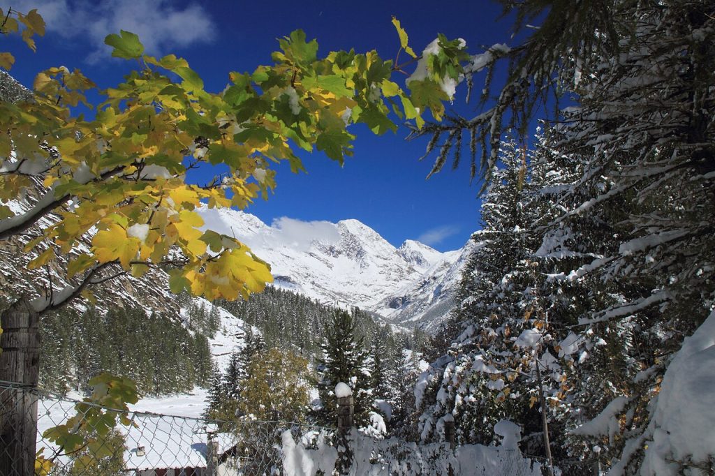Parco Nazionale Gran Paradiso - Foto Fulvio Spada - Wikimedia Commons, CC BY-SA 2.0