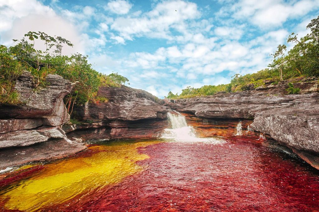 Caño Cristales - Foto Mario Carvajal - Wikimedia Commons,  CC BY 3.0