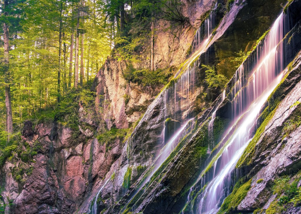 Foresta in Austria - Foto Pixabay