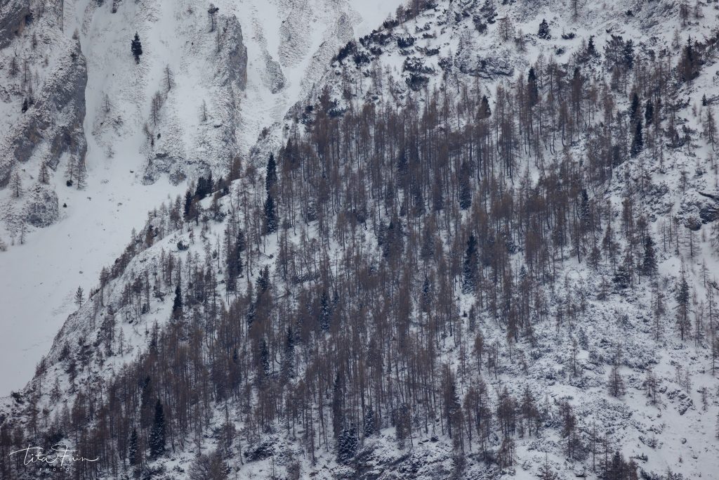 Alpago visto da Tambre, 26 marzo 2026 - Foto Tita Lorenza Fain