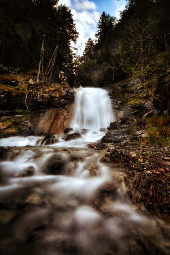 Parco Naturale Gran Bosco di Salbertrand - Foto Milesifederico - Wikimedia Commons, CC BY-SA 4.0