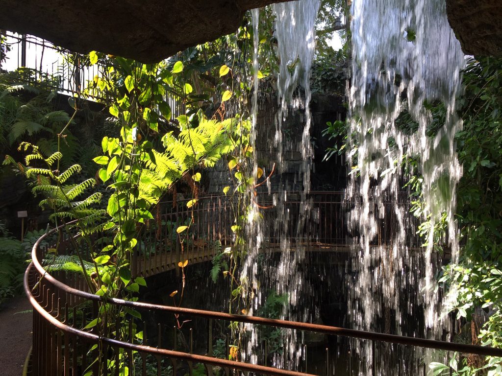 La serra tropicale del MUSE. Foto Archivio MUSE