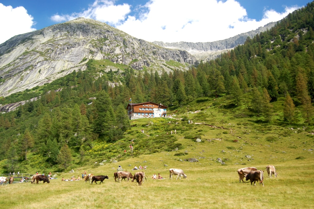 Rifugio Val di Fumo - Foto Francesco Mulas - Wikimedia Commons, CC BY-SA 3.0
