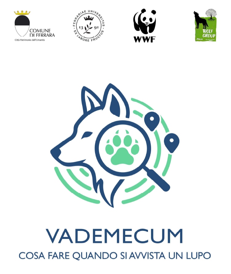 Vademecum del progetto